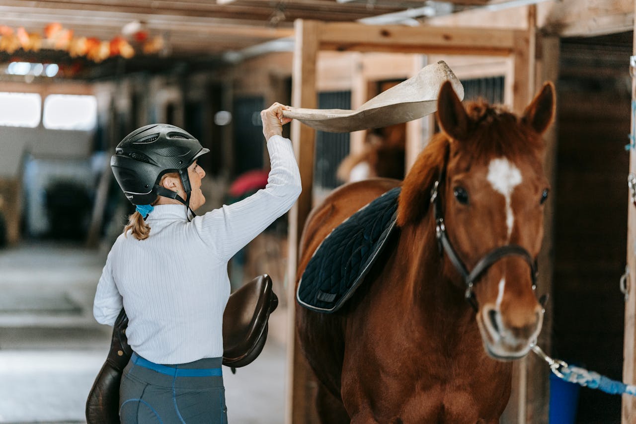 Woman and Horse in Stable